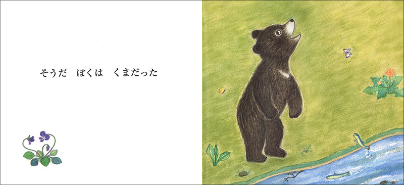くまさん