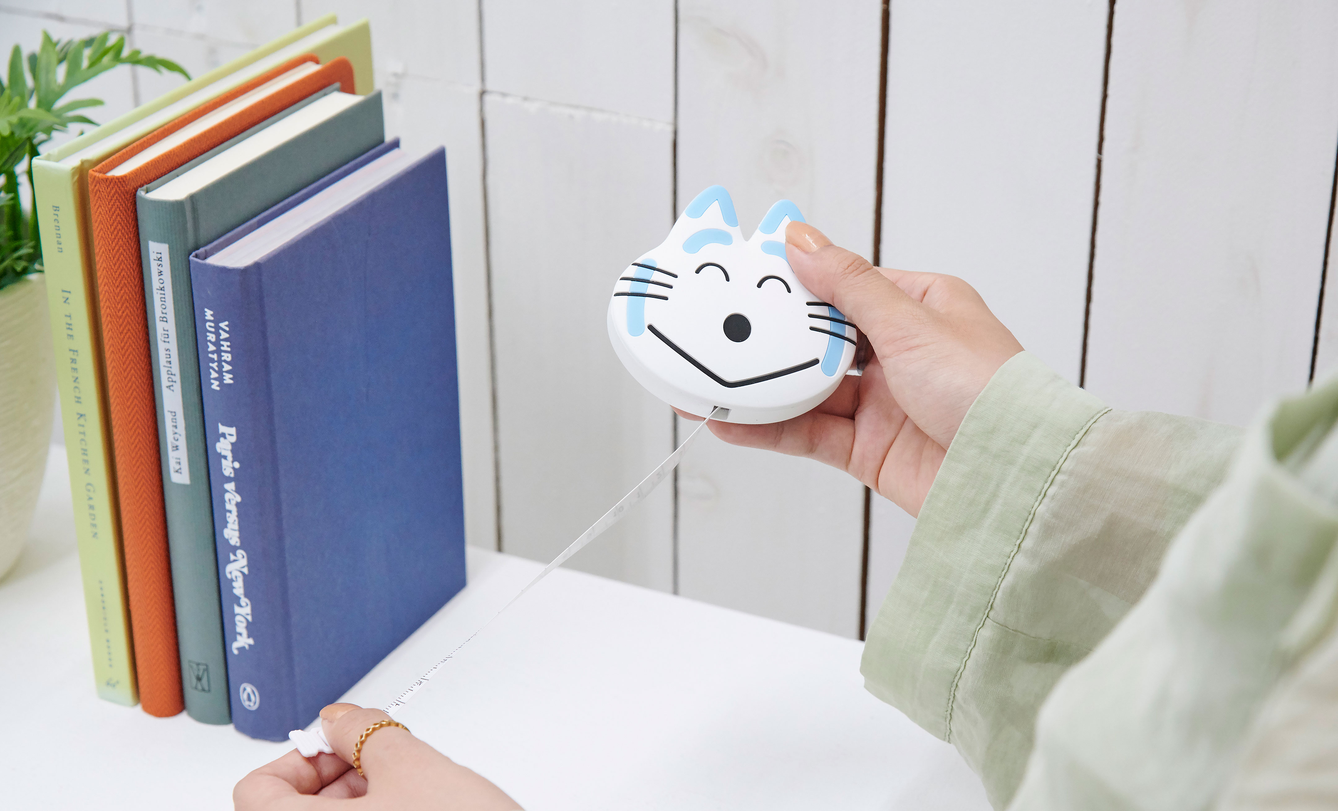 とらねこ大将 メジャー